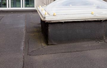disadvantages of Hedgehog Bridge flat roofs