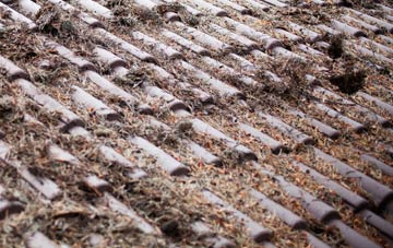 Hedgehog Bridge roof cleaning companies