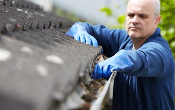 cleaning and inspecting Hedgehog Bridge roofs