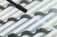 rated Hedgehog Bridge roof cleaning companies